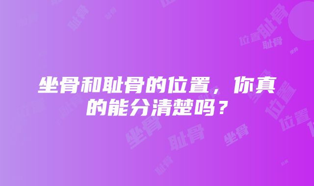 坐骨和耻骨的位置，你真的能分清楚吗？