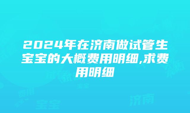 2024年在济南做试管生宝宝的大概费用明细,求费用明细