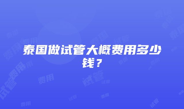 泰国做试管大概费用多少钱？