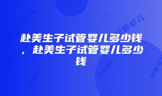 赴美生子试管婴儿多少钱，赴美生子试管婴儿多少钱