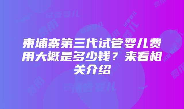 柬埔寨第三代试管婴儿费用大概是多少钱？来看相关介绍