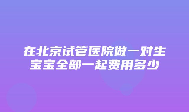 在北京试管医院做一对生宝宝全部一起费用多少