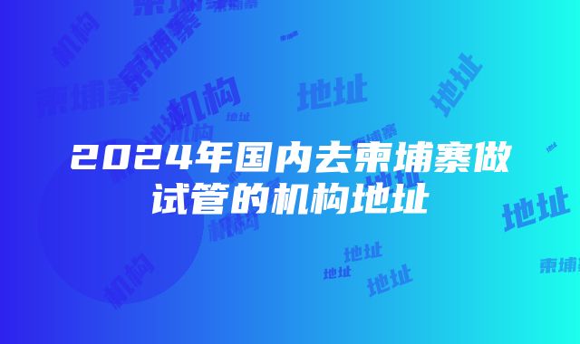 2024年国内去柬埔寨做试管的机构地址