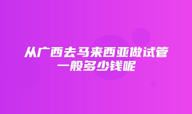 从广西去马来西亚做试管一般多少钱呢