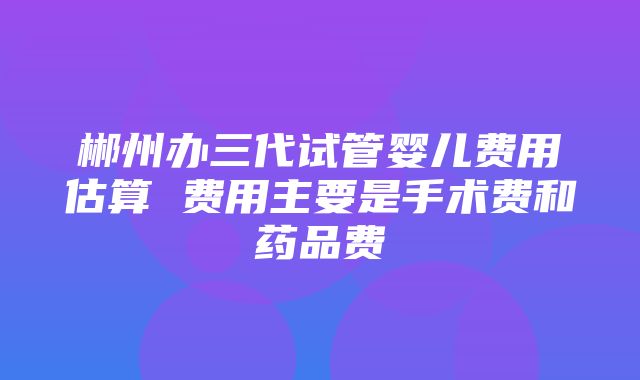 郴州办三代试管婴儿费用估算 费用主要是手术费和药品费