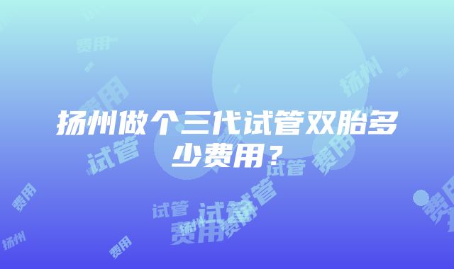 扬州做个三代试管双胎多少费用？