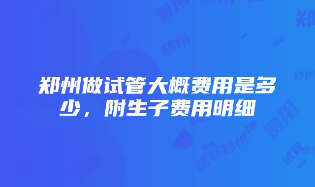 郑州做试管大概费用是多少，附生子费用明细