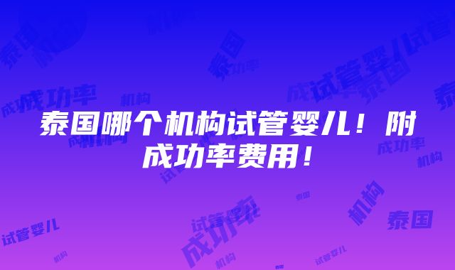 泰国哪个机构试管婴儿！附成功率费用！