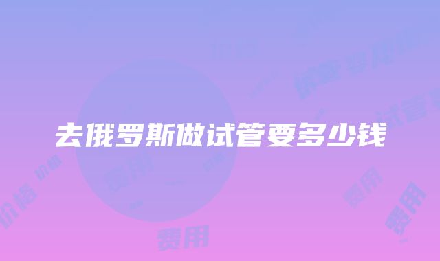 去俄罗斯做试管要多少钱