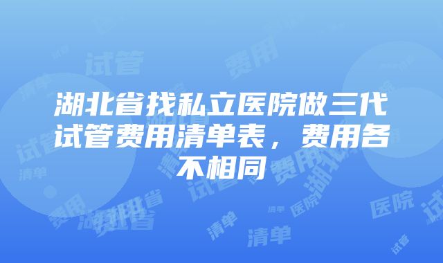 湖北省找私立医院做三代试管费用清单表，费用各不相同