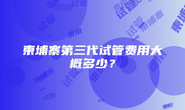 柬埔寨第三代试管费用大概多少？