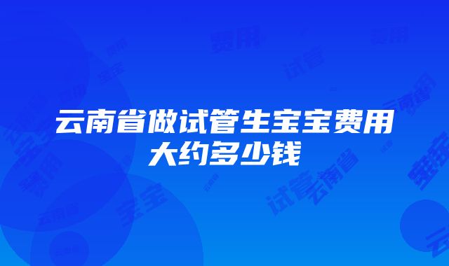 云南省做试管生宝宝费用大约多少钱