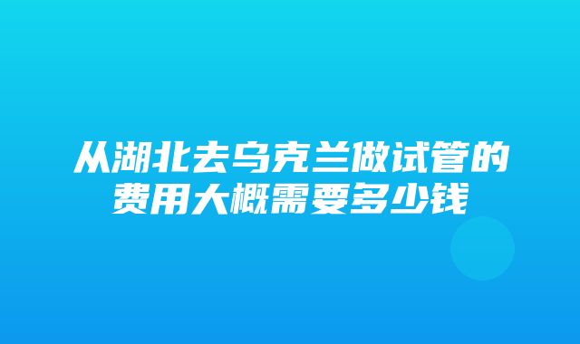 从湖北去乌克兰做试管的费用大概需要多少钱