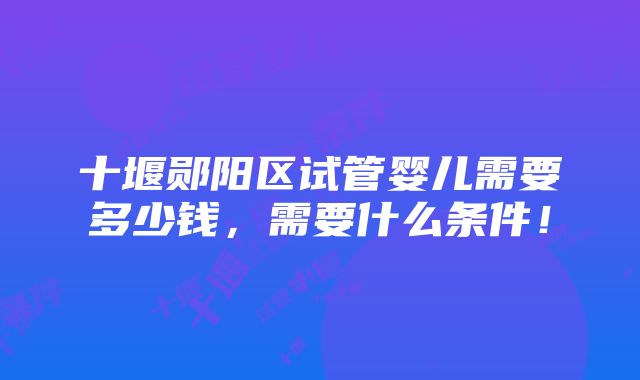 十堰郧阳区试管婴儿需要多少钱，需要什么条件！