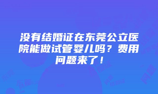 没有结婚证在东莞公立医院能做试管婴儿吗？费用问题来了！