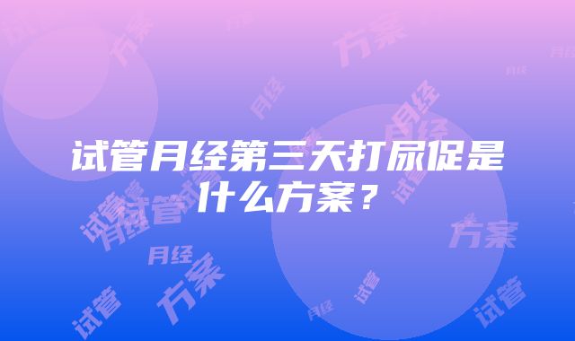 试管月经第三天打尿促是什么方案？