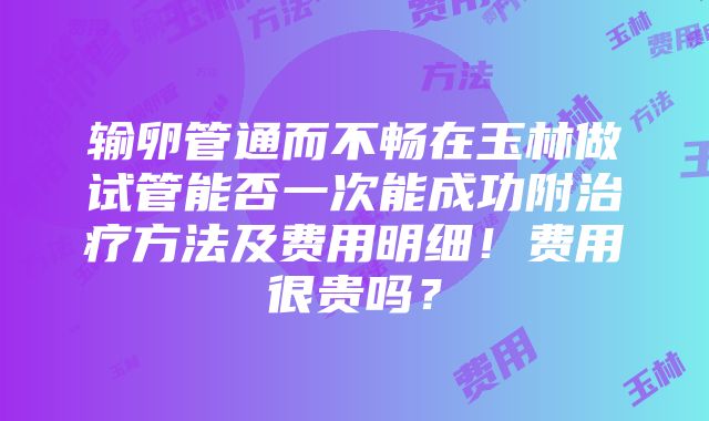 输卵管通而不畅在玉林做试管能否一次能成功附治疗方法及费用明细！费用很贵吗？