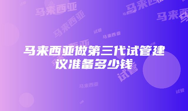 马来西亚做第三代试管建议准备多少钱