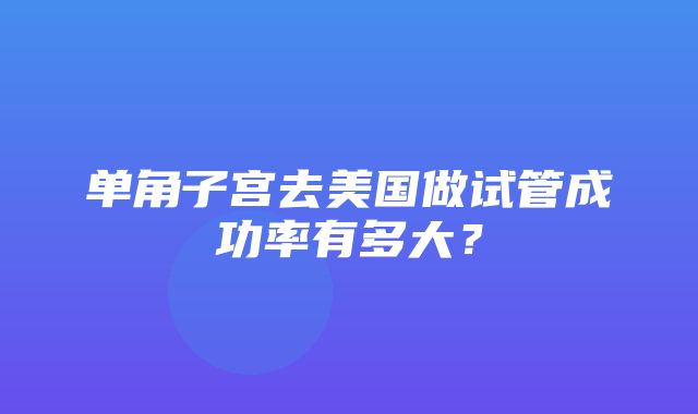 单角子宫去美国做试管成功率有多大？