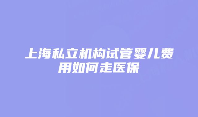 上海私立机构试管婴儿费用如何走医保