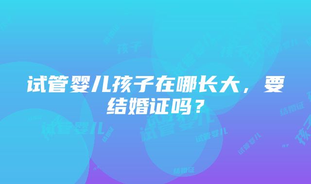 试管婴儿孩子在哪长大，要结婚证吗？