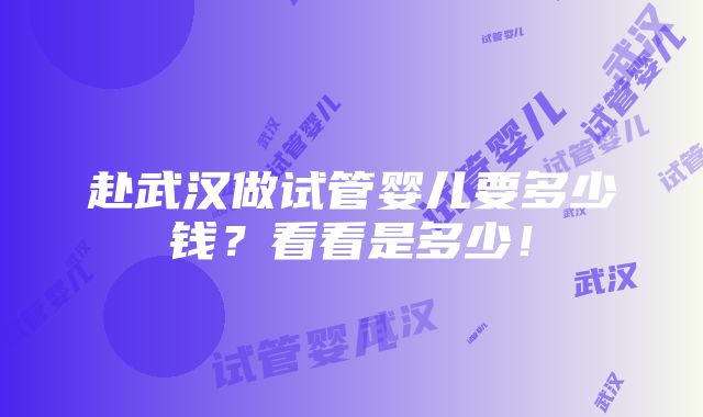 赴武汉做试管婴儿要多少钱？看看是多少！