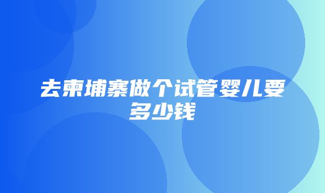 去柬埔寨做个试管婴儿要多少钱