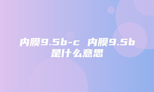 内膜9.5b-c 内膜9.5b是什么意思