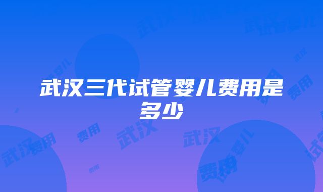 武汉三代试管婴儿费用是多少