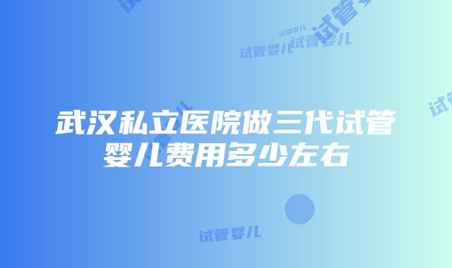 武汉私立医院做三代试管婴儿费用多少左右