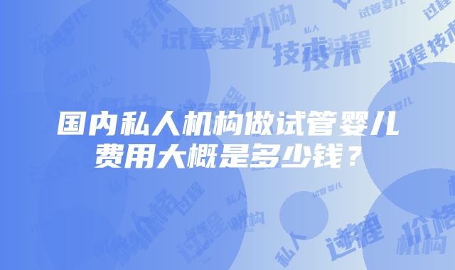 国内私人机构做试管婴儿费用大概是多少钱？