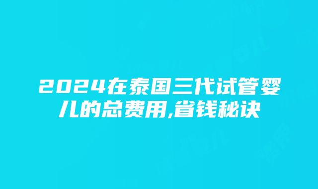 2024在泰国三代试管婴儿的总费用,省钱秘诀