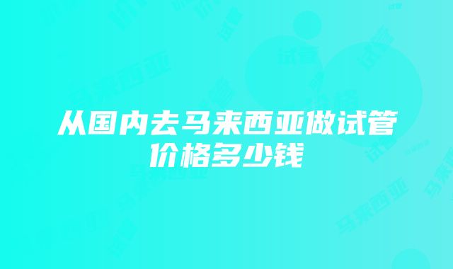 从国内去马来西亚做试管价格多少钱