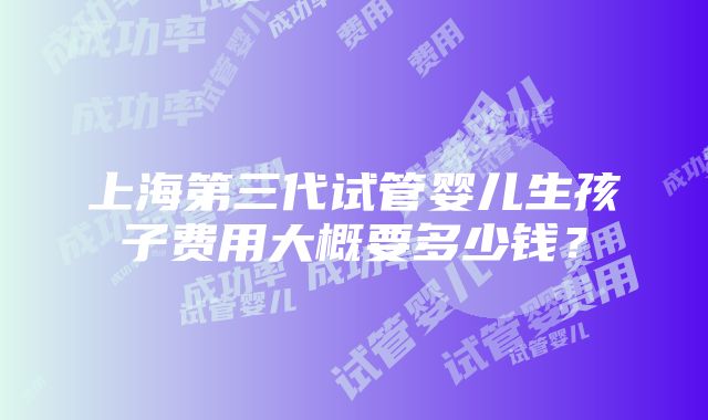 上海第三代试管婴儿生孩子费用大概要多少钱？