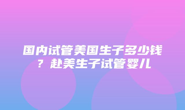 国内试管美国生子多少钱？赴美生子试管婴儿