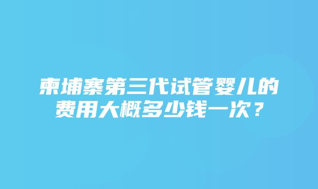 柬埔寨第三代试管婴儿的费用大概多少钱一次？