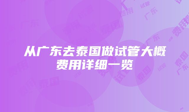 从广东去泰国做试管大概费用详细一览