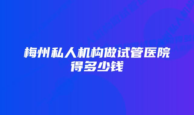 梅州私人机构做试管医院得多少钱