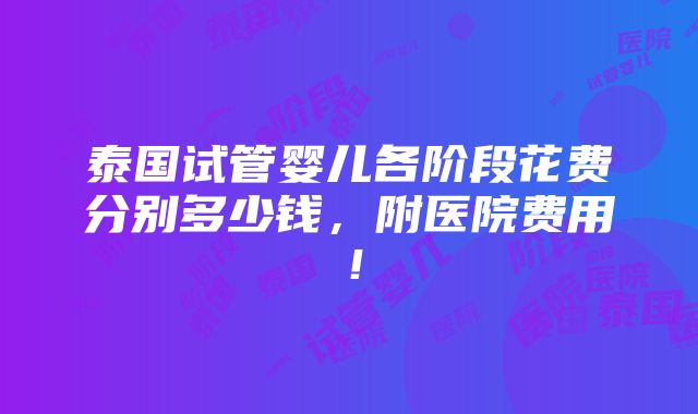 泰国试管婴儿各阶段花费分别多少钱，附医院费用！