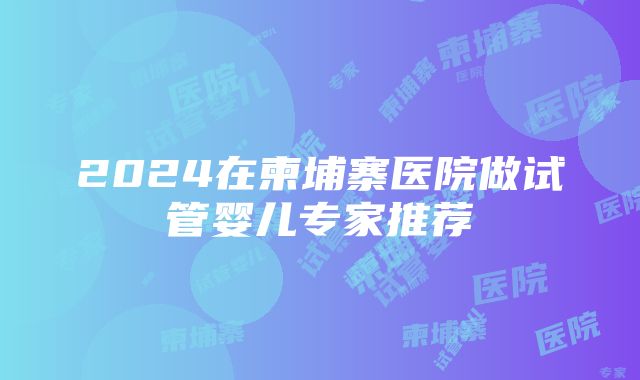 2024在柬埔寨医院做试管婴儿专家推荐