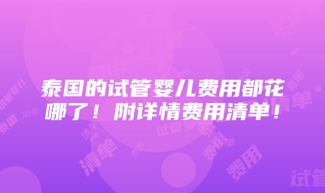 泰国的试管婴儿费用都花哪了！附详情费用清单！