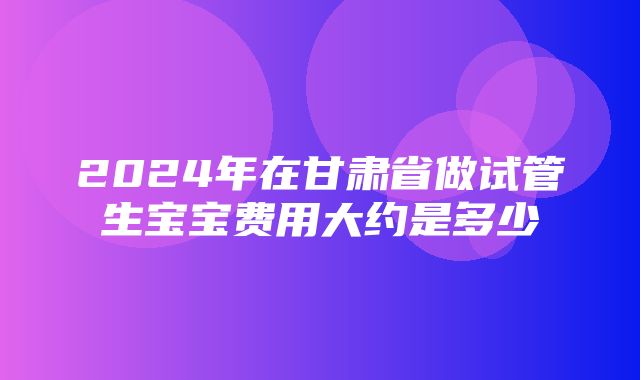 2024年在甘肃省做试管生宝宝费用大约是多少