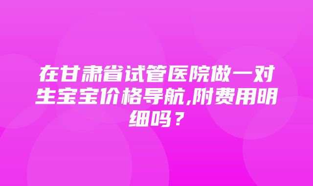 在甘肃省试管医院做一对生宝宝价格导航,附费用明细吗？