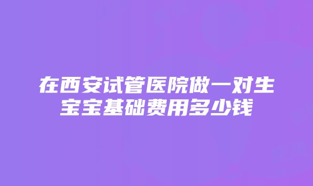 在西安试管医院做一对生宝宝基础费用多少钱