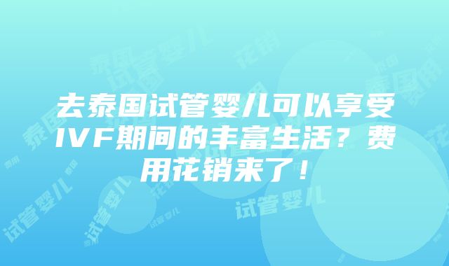 去泰国试管婴儿可以享受IVF期间的丰富生活？费用花销来了！