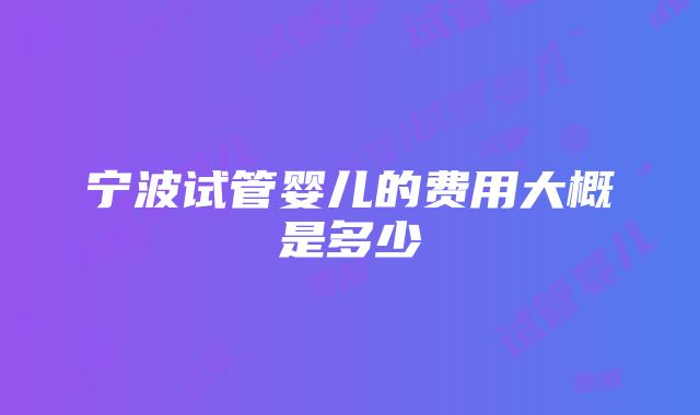 宁波试管婴儿的费用大概是多少