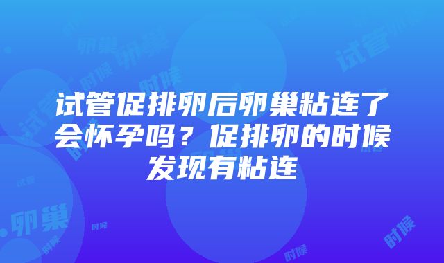 试管促排卵后卵巢粘连了会怀孕吗？促排卵的时候发现有粘连