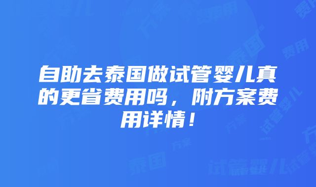 自助去泰国做试管婴儿真的更省费用吗，附方案费用详情！