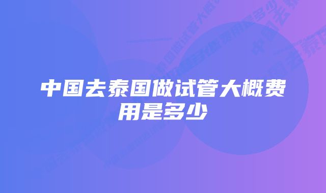 中国去泰国做试管大概费用是多少