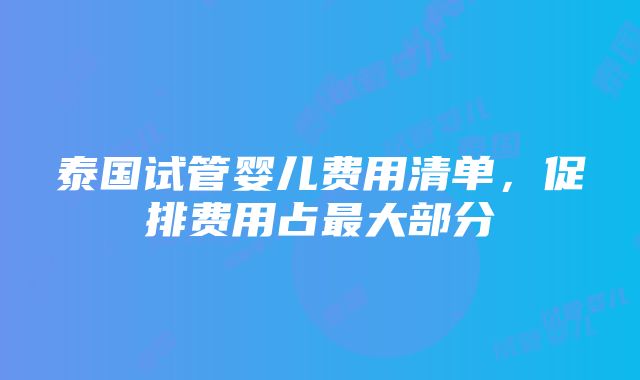 泰国试管婴儿费用清单，促排费用占最大部分